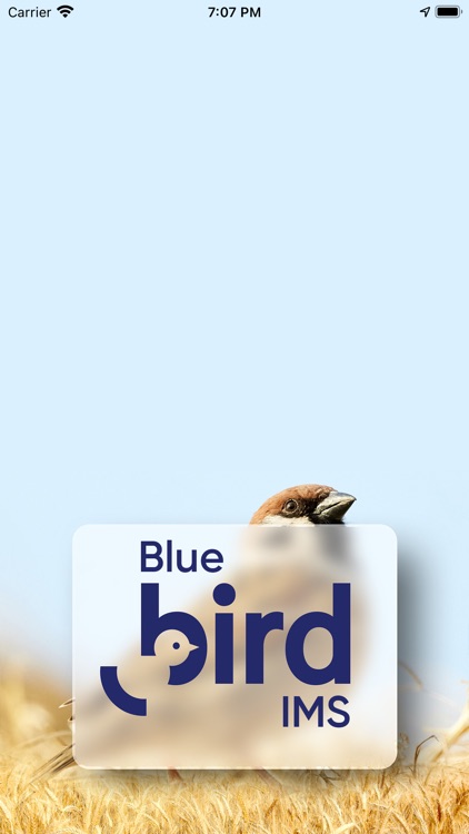 Blue Bird IMS