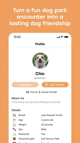 Game screenshot Mond: Dog Friendship hack