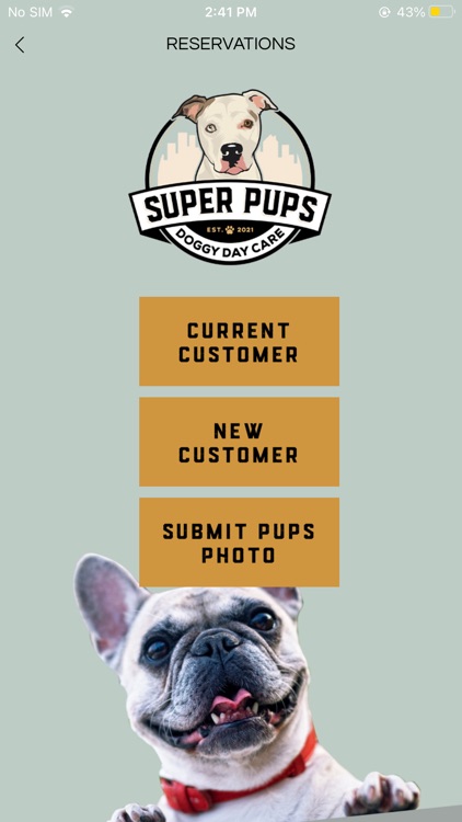 Super Pups Daycare screenshot-3