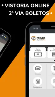 carvisa - proteção automotiva problems & solutions and troubleshooting guide - 1