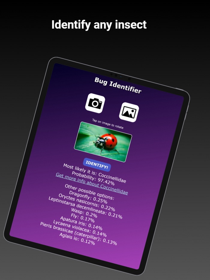 Bug Identifier - Insect ID