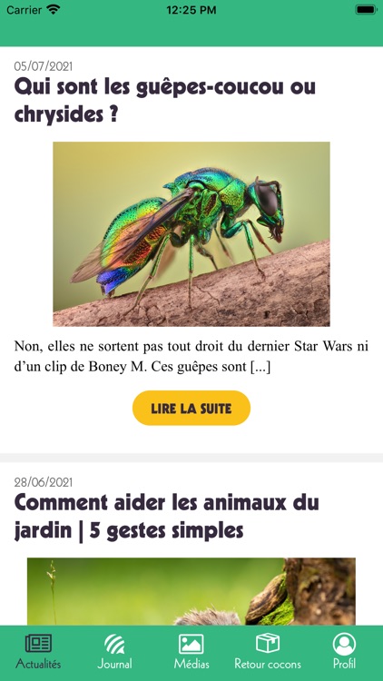 Les Dorloteurs d'Abeilles