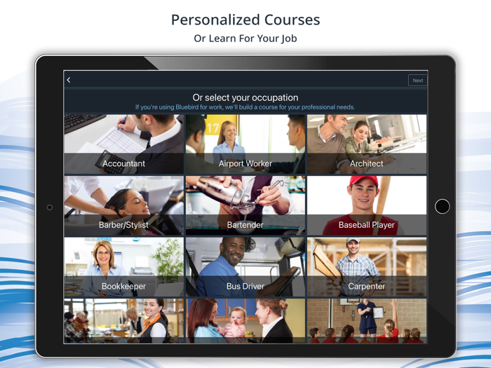 Bluebird Mexican Spanish