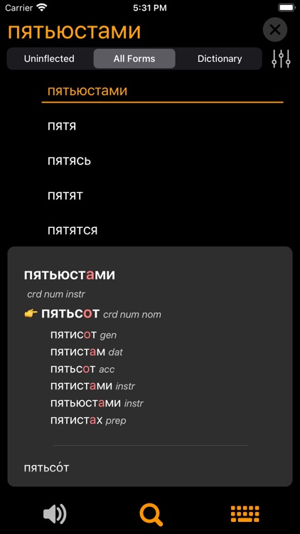 RuFlex Pro Russian Inflection screenshot-5