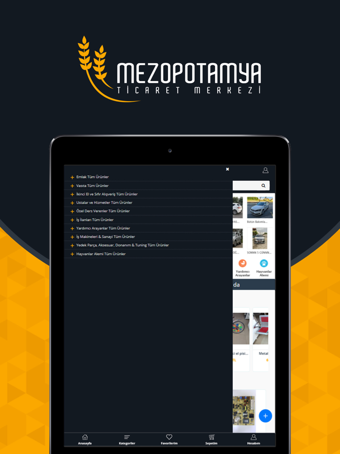 Mezopotamyaticaretmerkezi