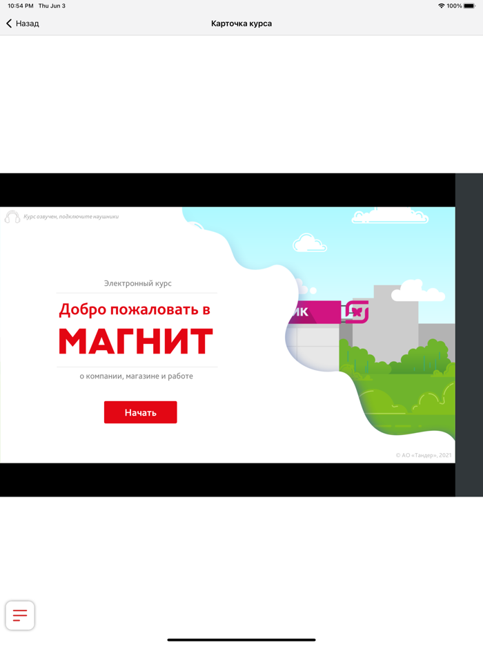 Магнит Магнум