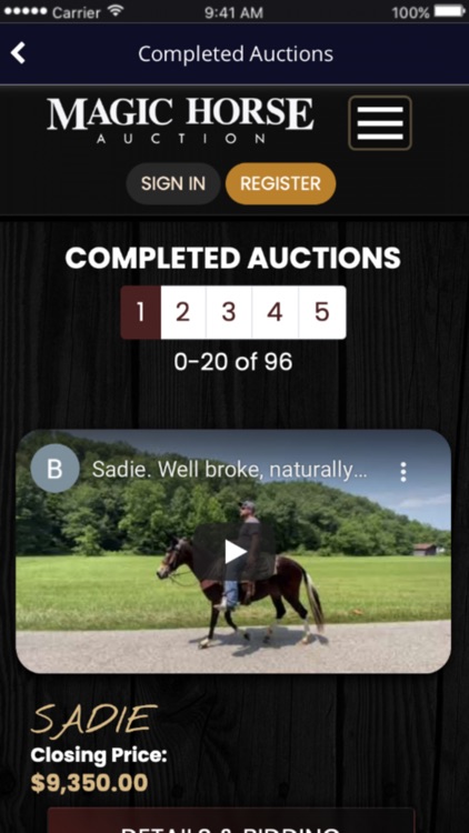 Magic Horse Auction