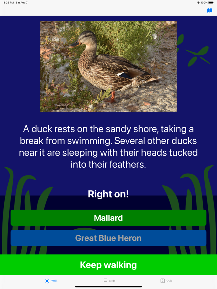 Bay Area Bird Experience