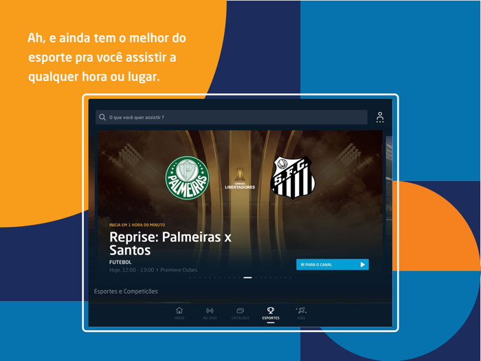 DIRECTV GO BR