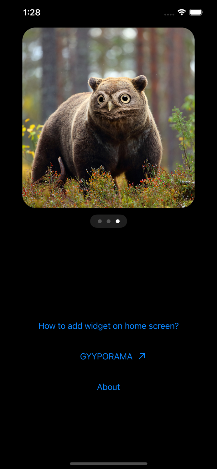 GYYPORAMA HYBRID WIDGET