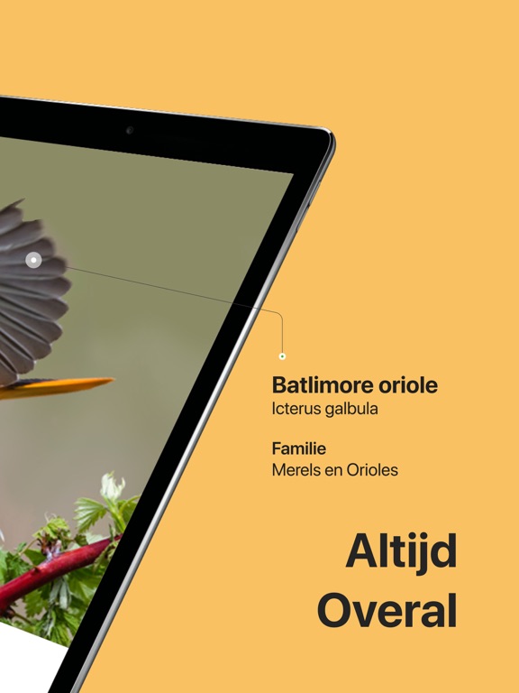 Picture Bird: Vogels Herkennen iPad app afbeelding 2