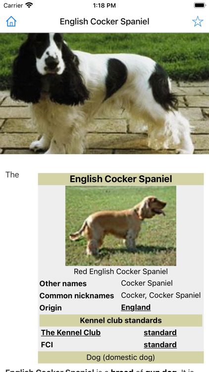 Encyclopedia of Dogs