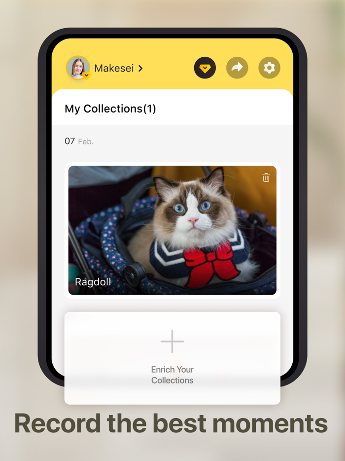 Cat Pal Breed ID  Care Guide