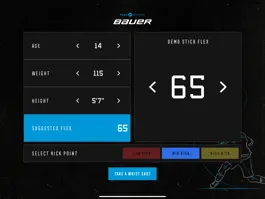 Game screenshot Pure Hockey Stick Fitter apk