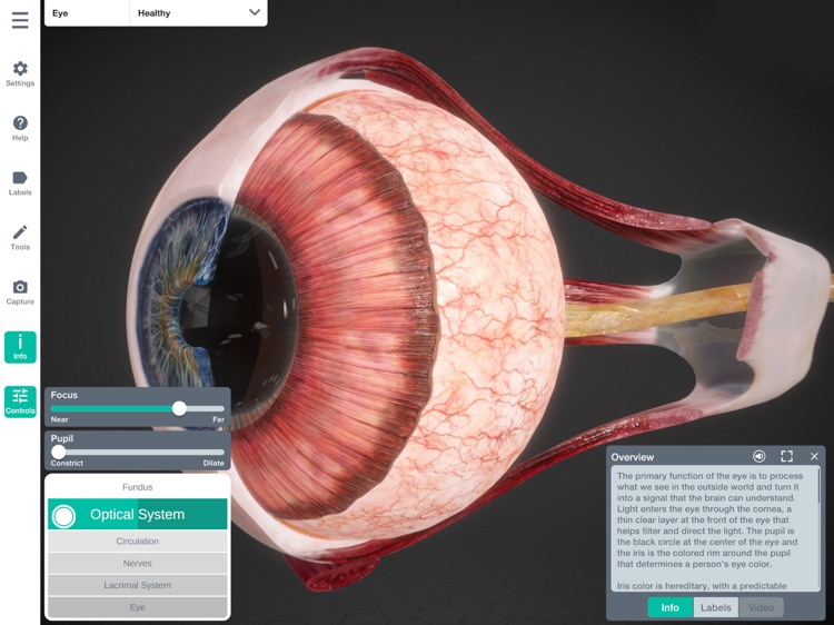 Sharecare YOU Anatomy Atlas screenshot-7