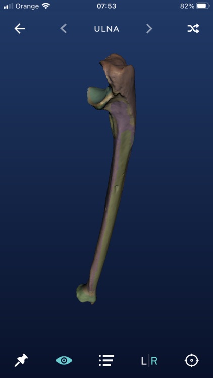 Skelviewer