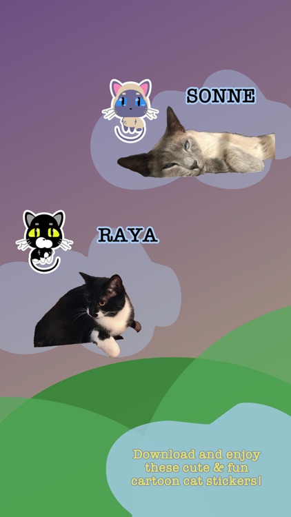 Cat Family Sticker Pack screenshot-5