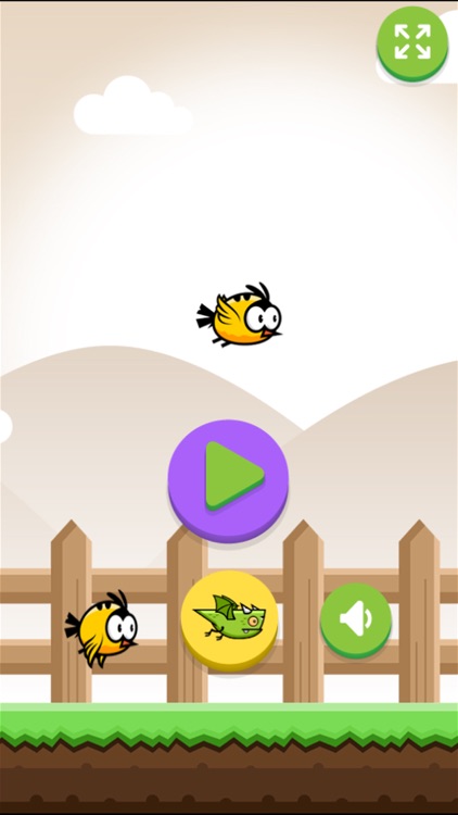 Flying Birds: Collect Treasure