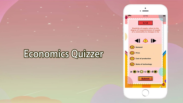 Economics Quizzer