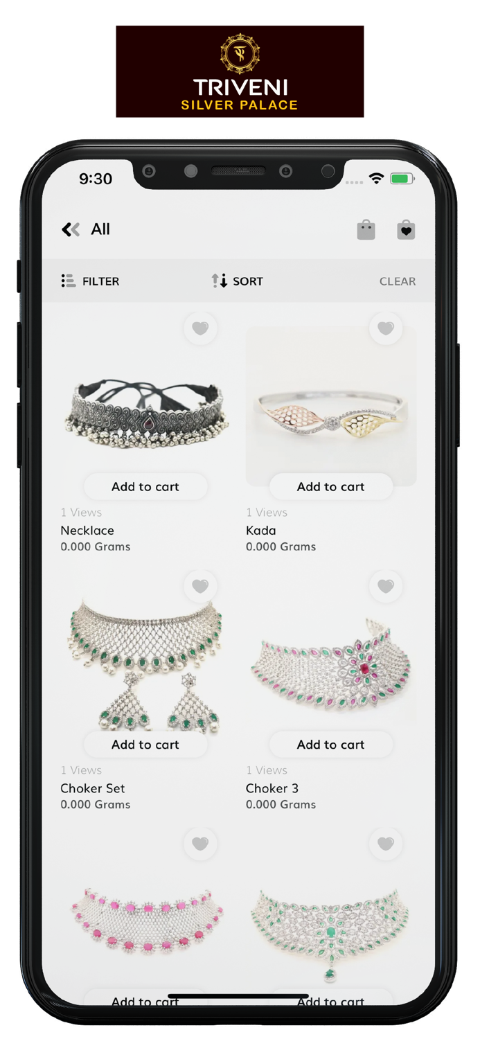 Triveni Silver Palace