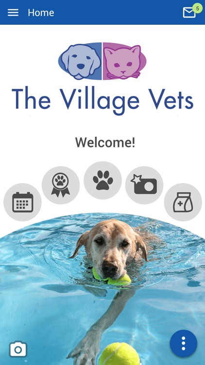 Village Vets