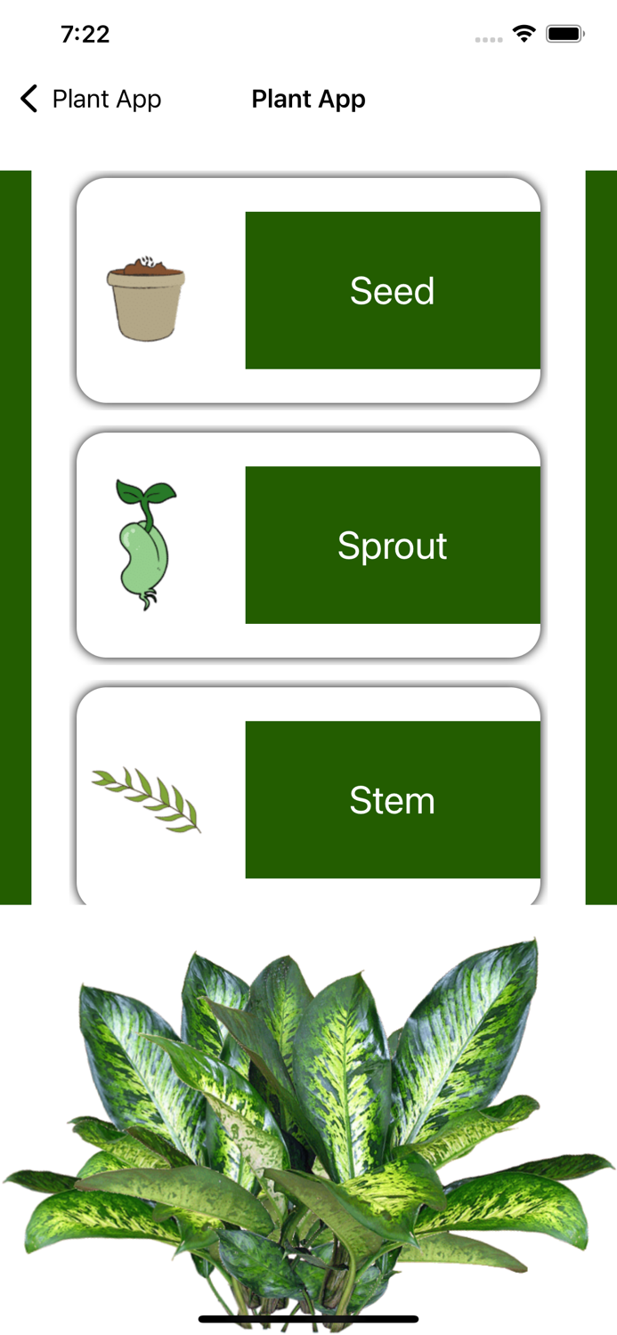 Enhance Greenery Vocab