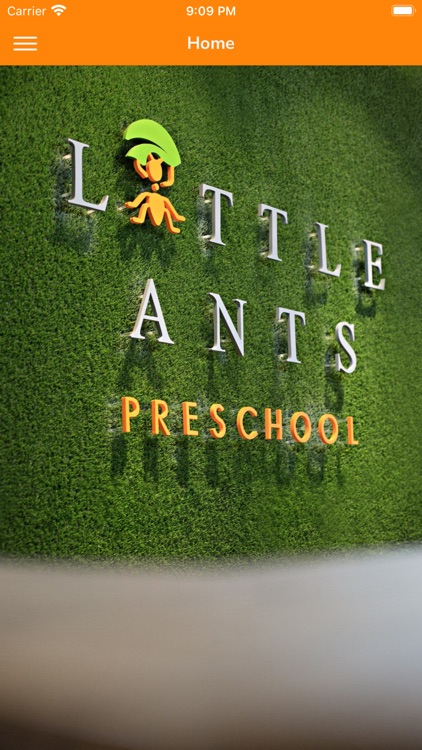 Little Ants Preschool