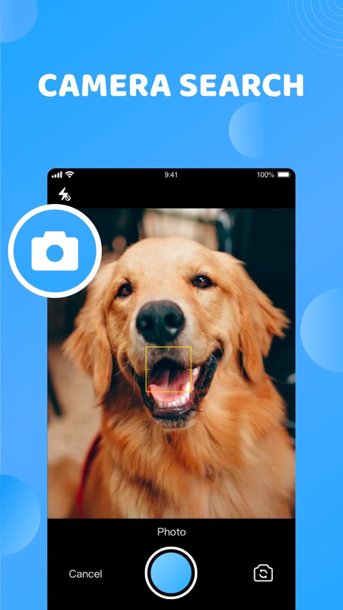 Reverse Image Search