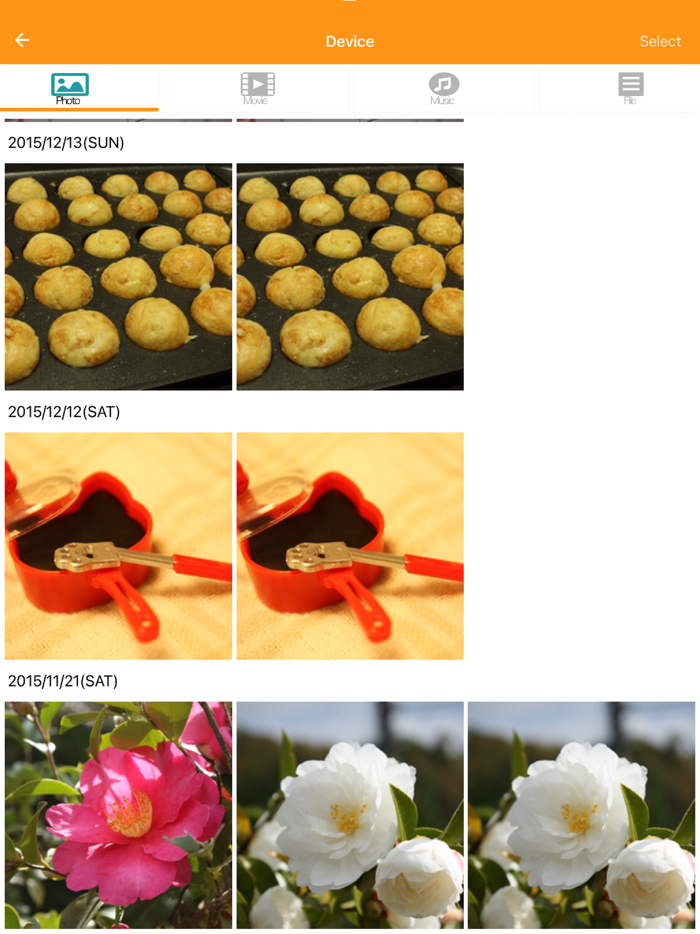 ELECOM EXtorage Link