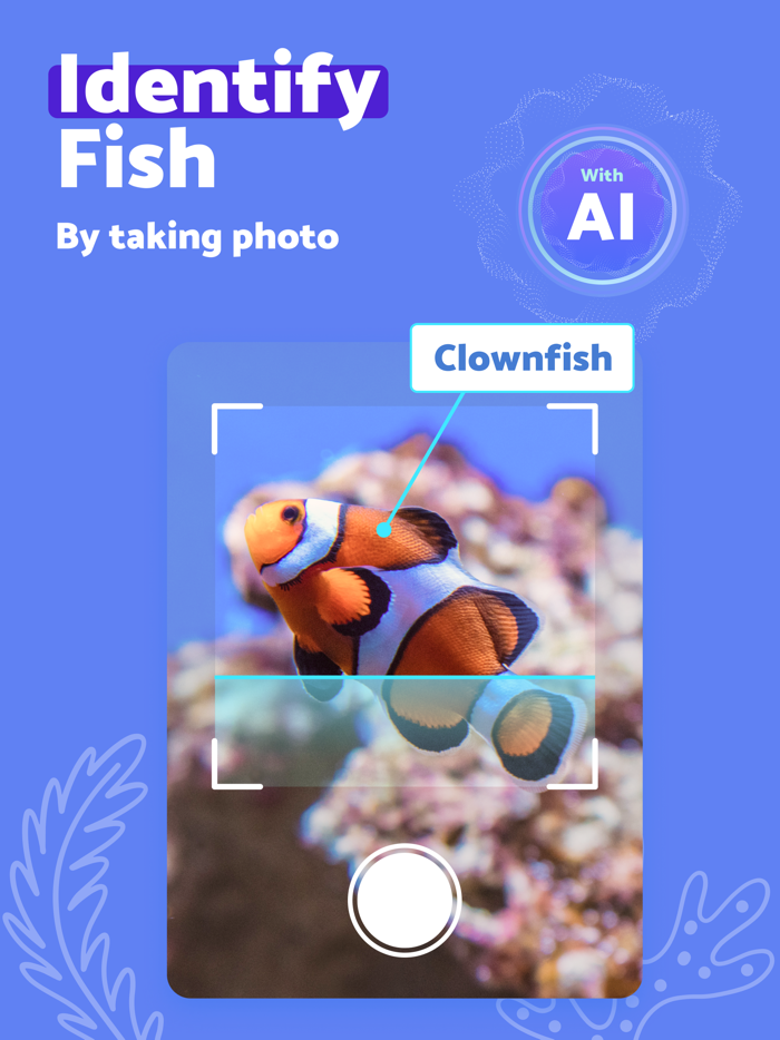 FishScan - Identify Fish