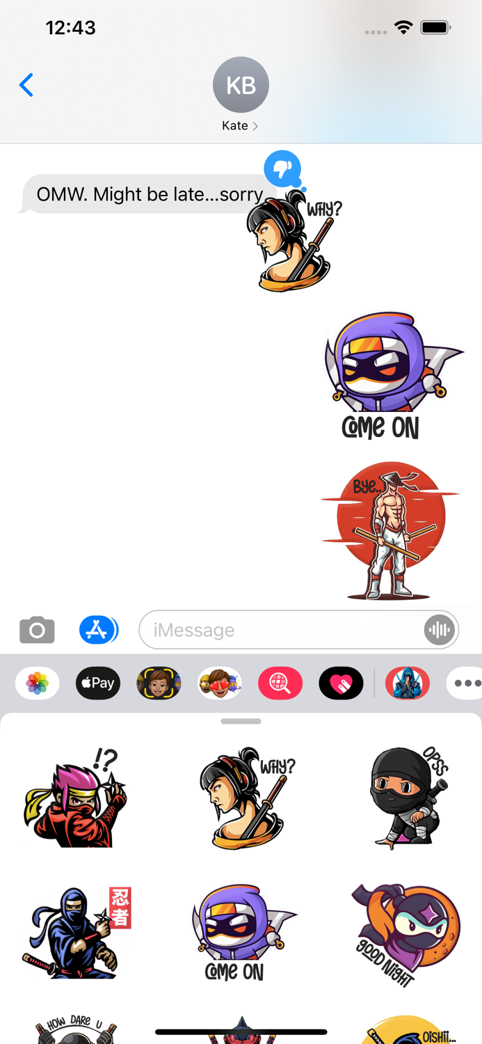 Ninja Warrior Stickers