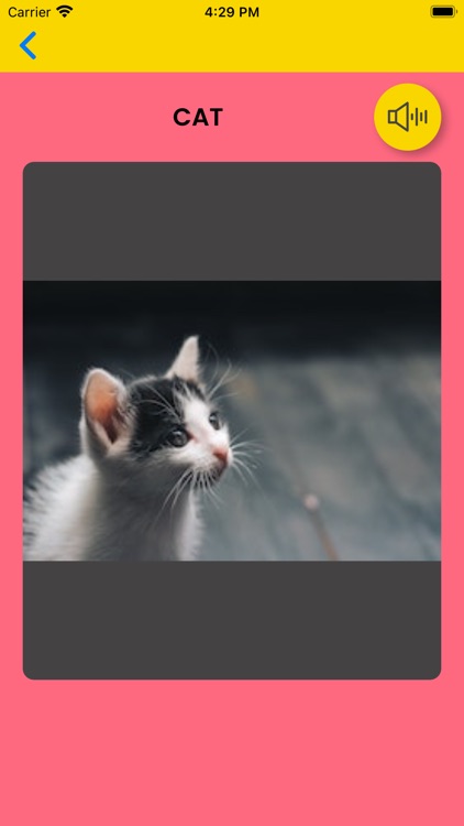 AnimalDictionario