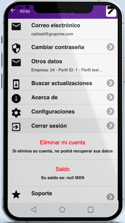 RMovil screenshot-6