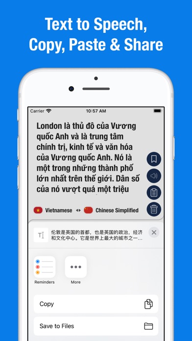 Chinese Vietnamese Translator screenshot 2