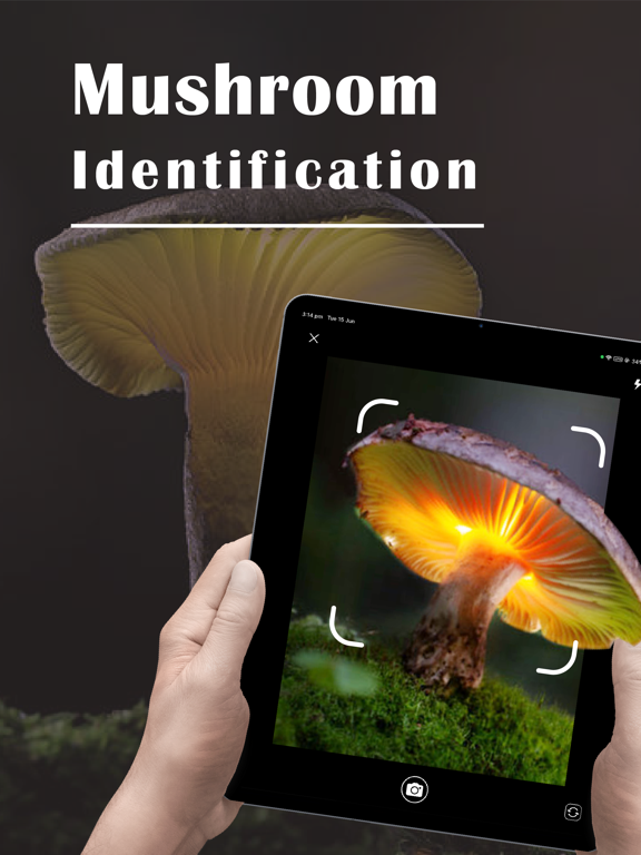 Mushroom Identifier ‣のおすすめ画像1