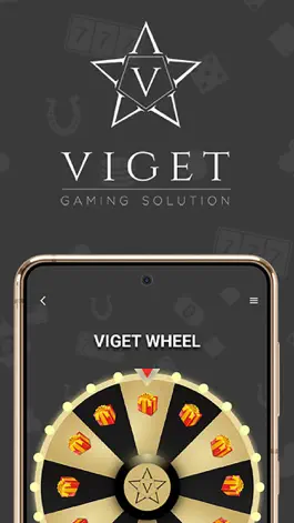 Game screenshot Viget Fidelity apk