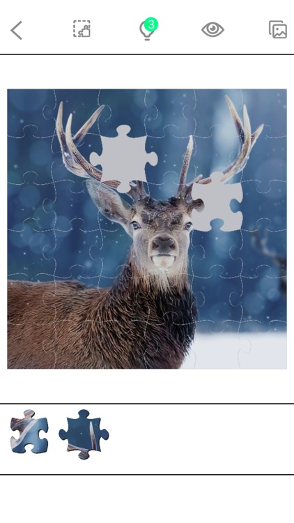 Jigsaw Puzzle Masters screenshot-8