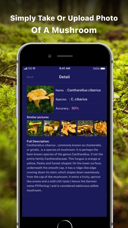 Mushroom ID - Picture mushroom screenshot-3