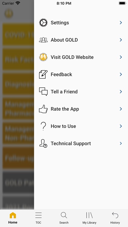 GOLD 2021 Pocket Guide screenshot-4