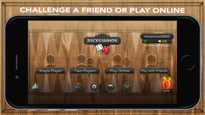 Backgammon for iPad & iPhone screenshot 2