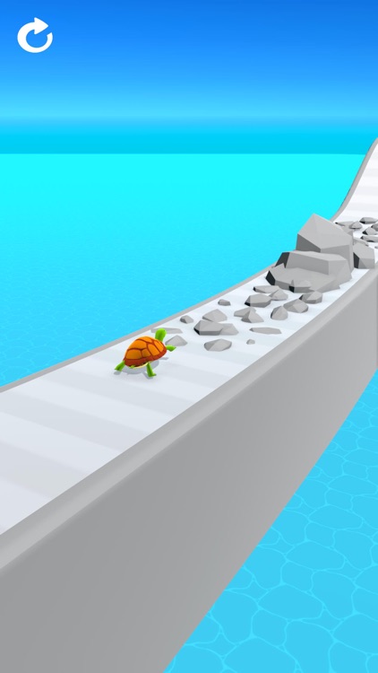 Turtle Race 3D