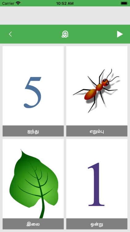 Learn Tamil Basics