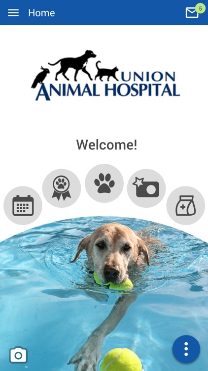 Union Animal Hospital