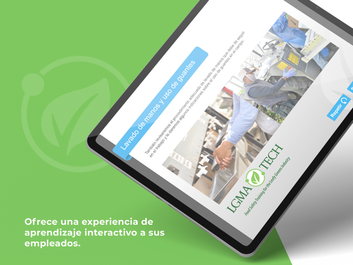 CA LGMA Handwashing Español