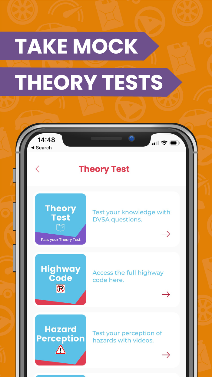 Young Driver - Learn to Drive