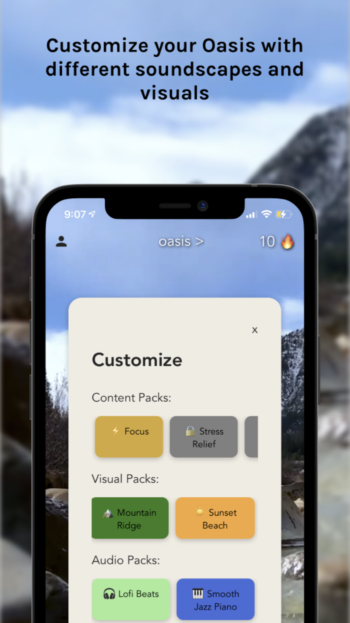 Oasis Focus, Relax, Meditate