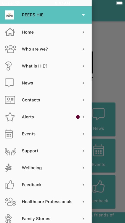 PEEPS HIE screenshot-4