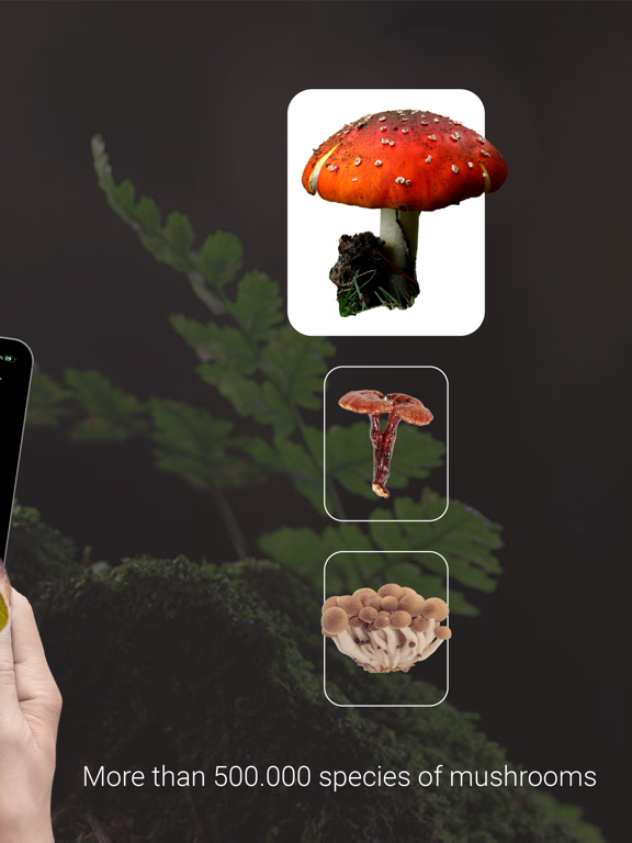 Mushroom Identifier ‣のおすすめ画像2