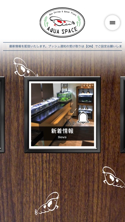 ビーシュリンプ専門のお店/アクアスペース