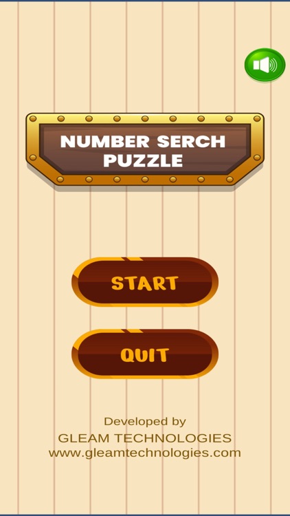 Puzzle Number Search